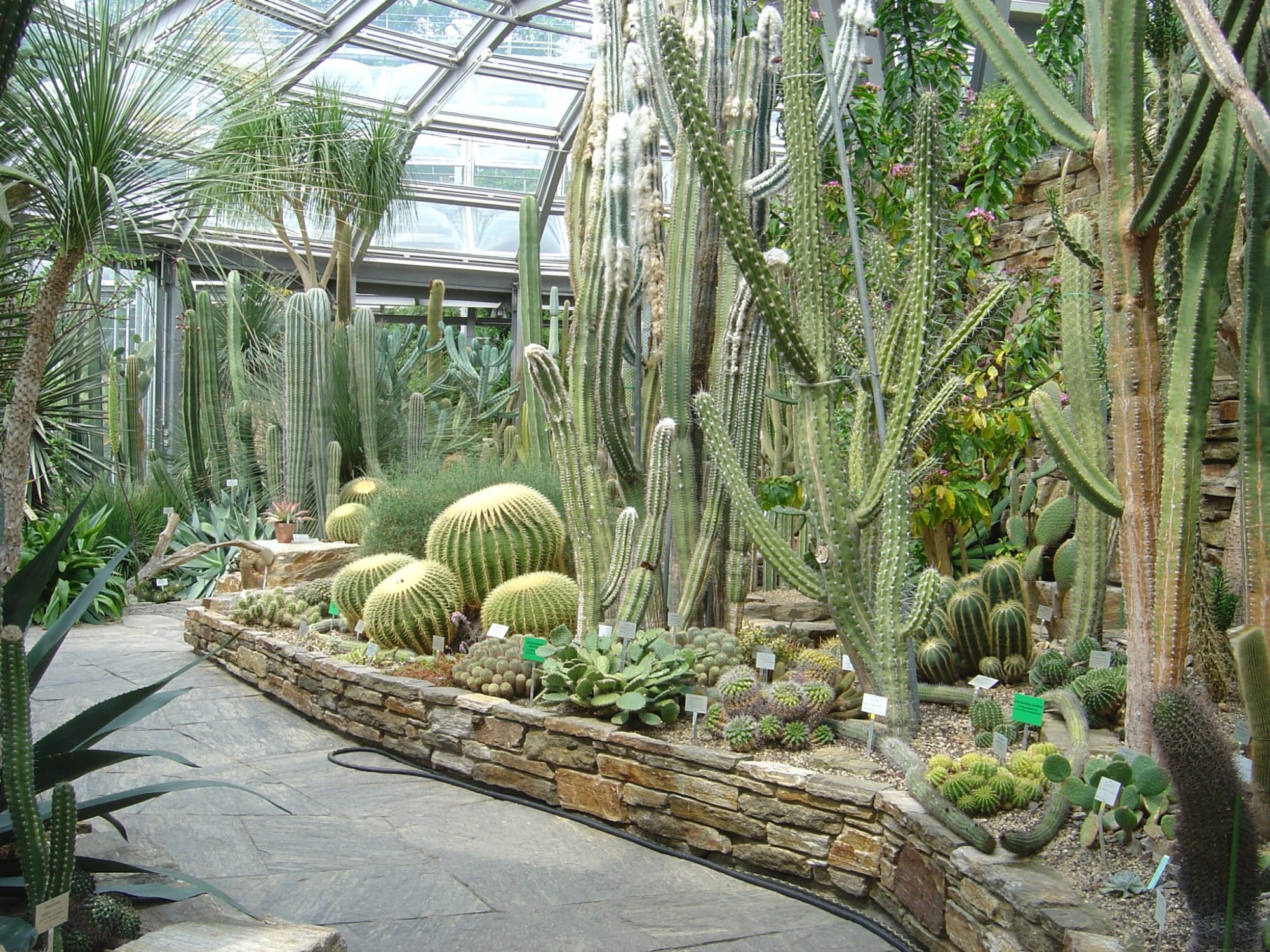 Tucson Botanical Garden