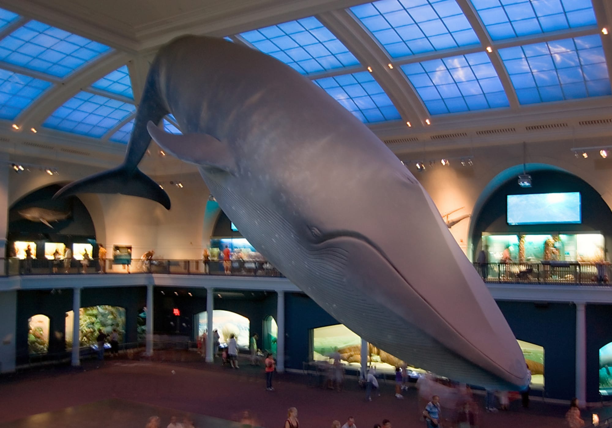 American Museum of Natural History