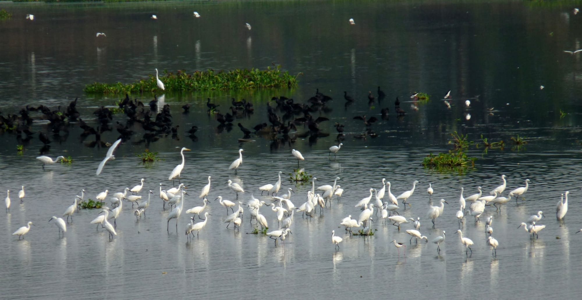 Singaballur Lake Coimbatore