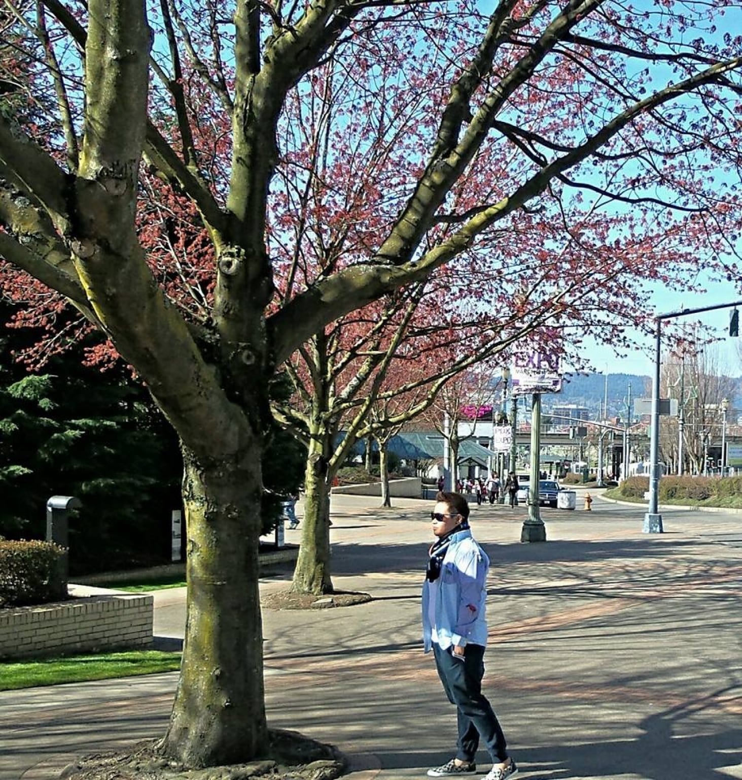 Portland Saturday Market