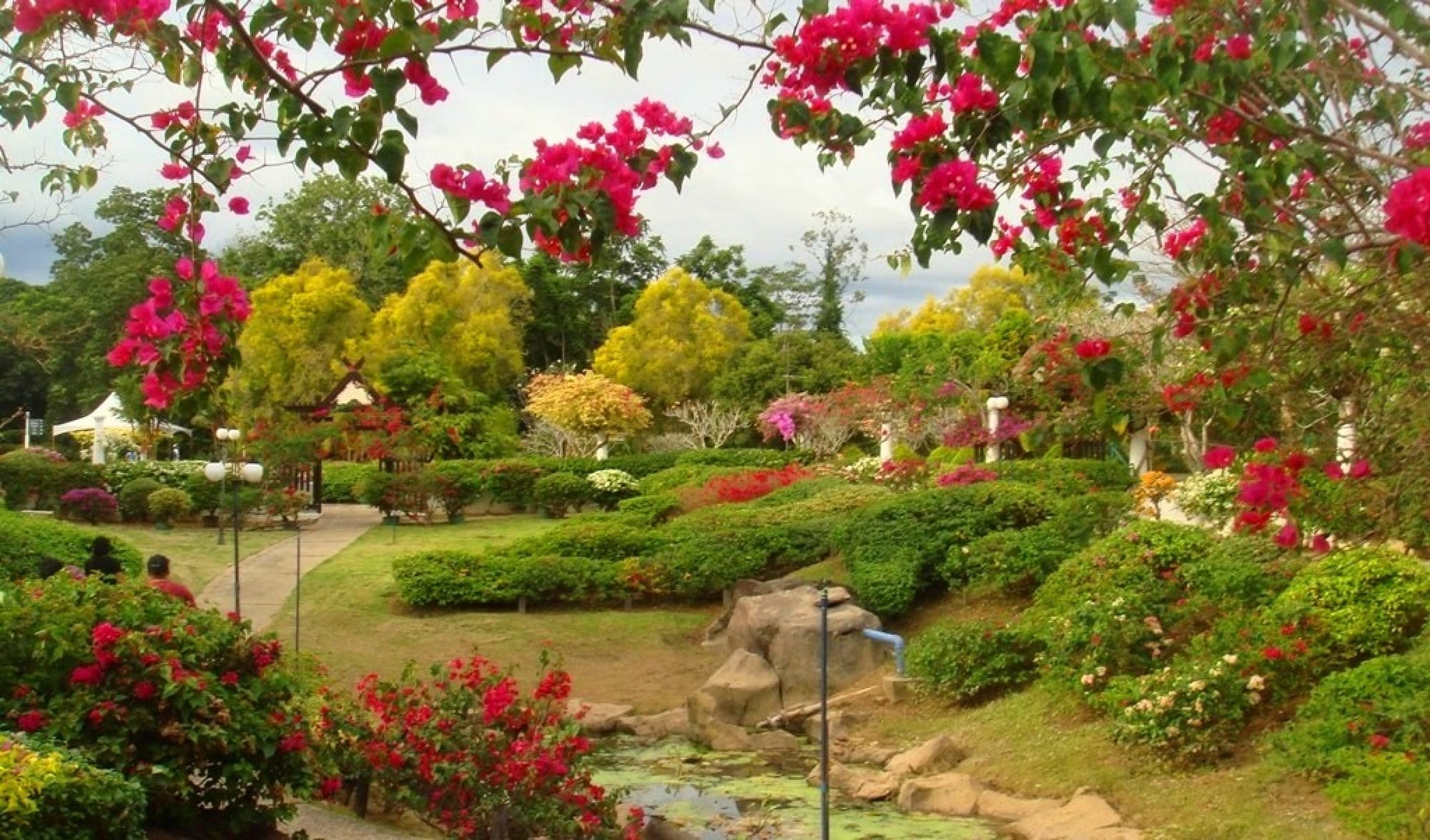 Garden Of Fragrance
