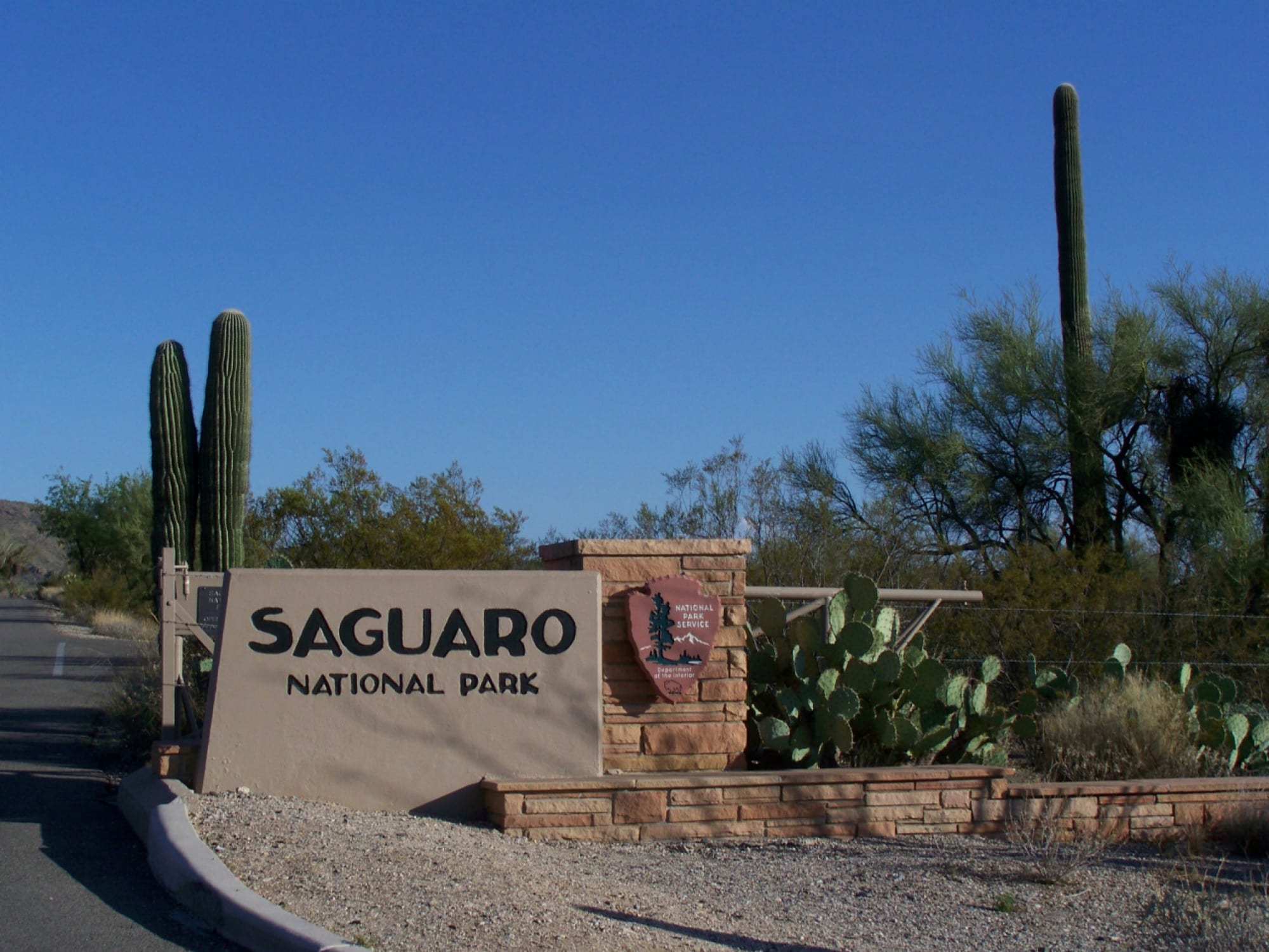 Saguaro National Park