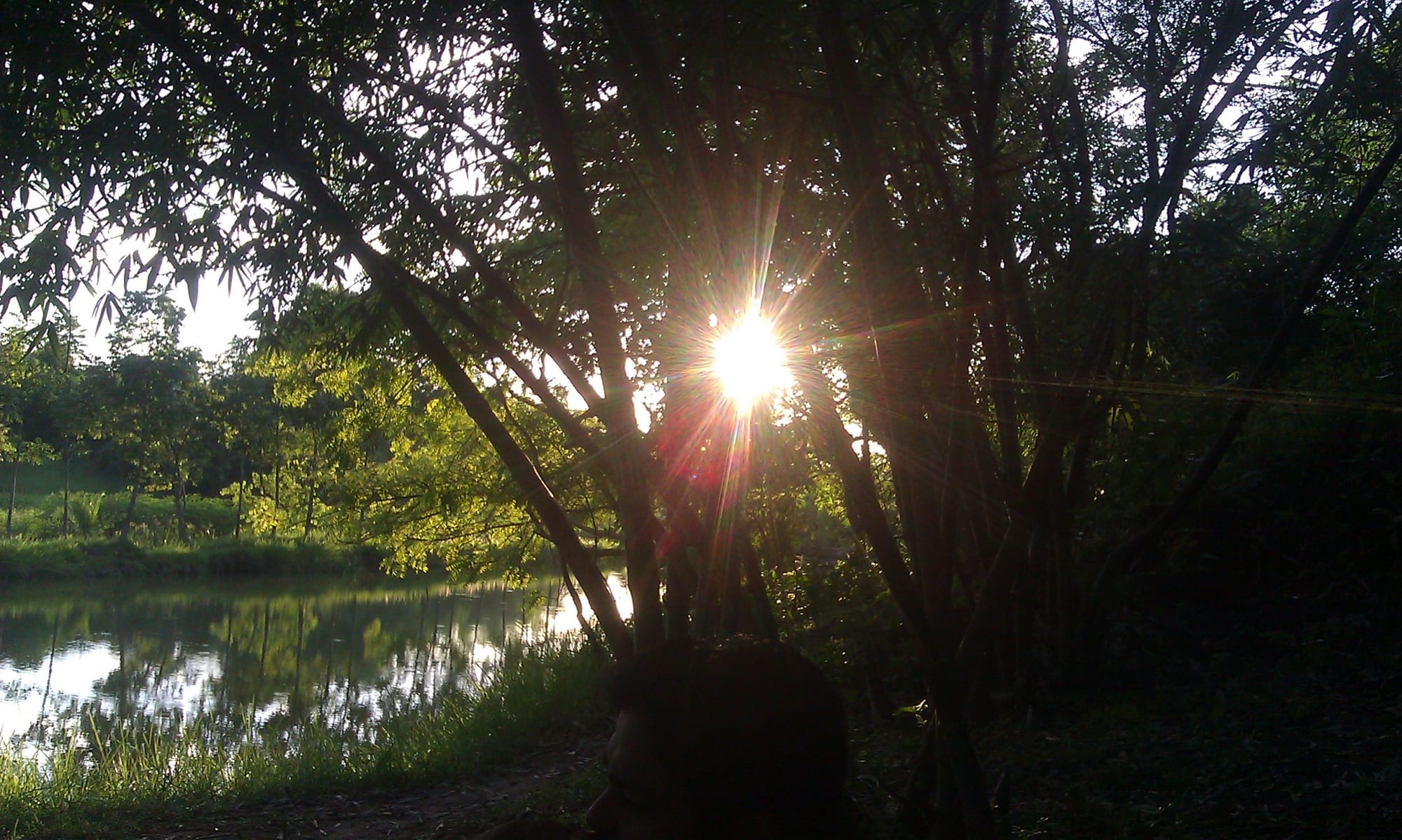 Kushtia