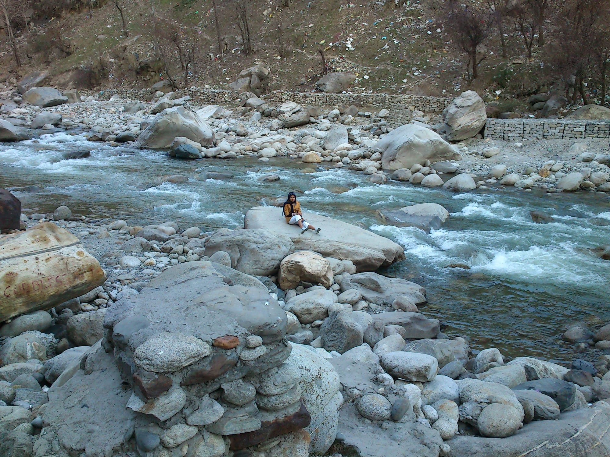 Van Vihar
