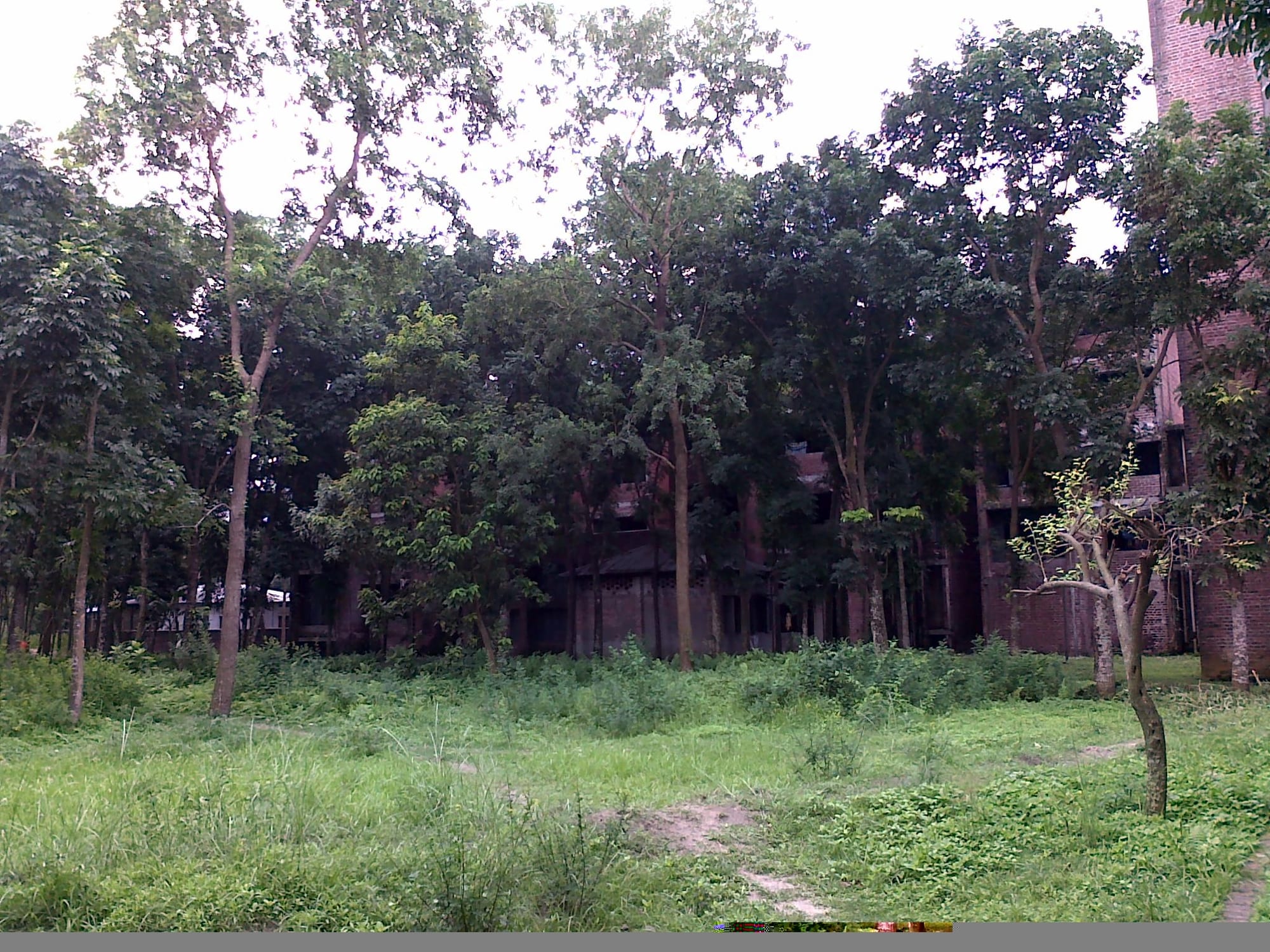 Rangpur Division
