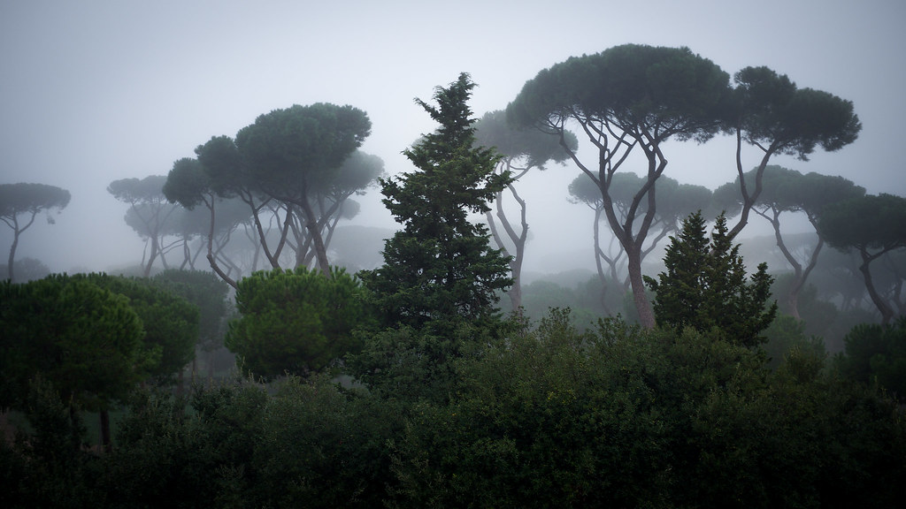 Villa Borghese