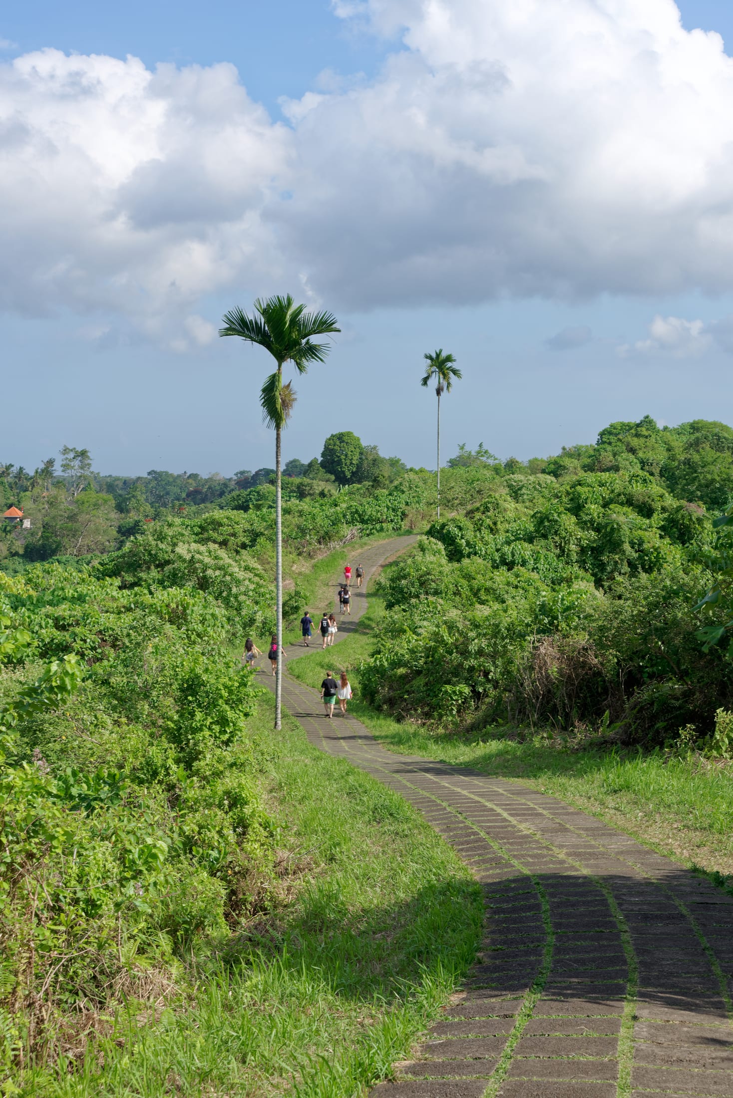 Campuhan Ridge Walk