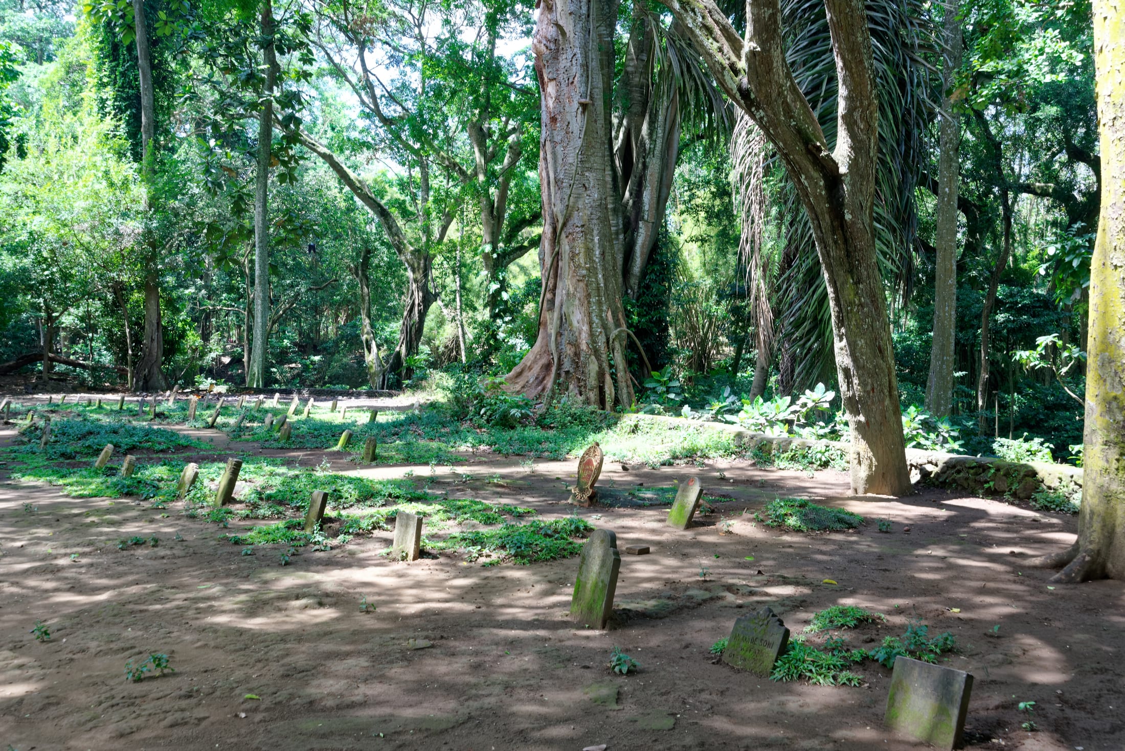 Sacred Monkey Forest Sanctuary