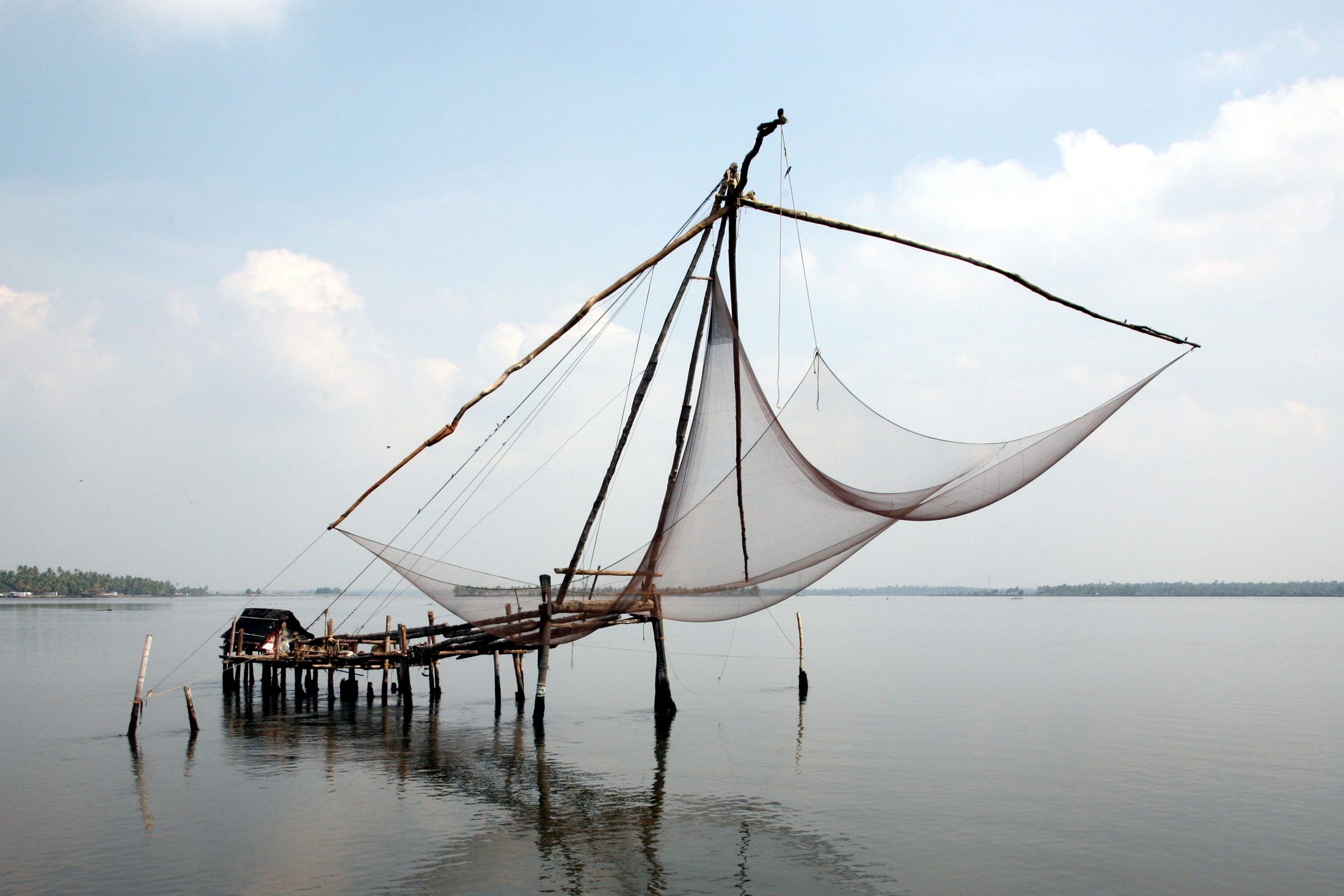 Fort Kochi in a Day
