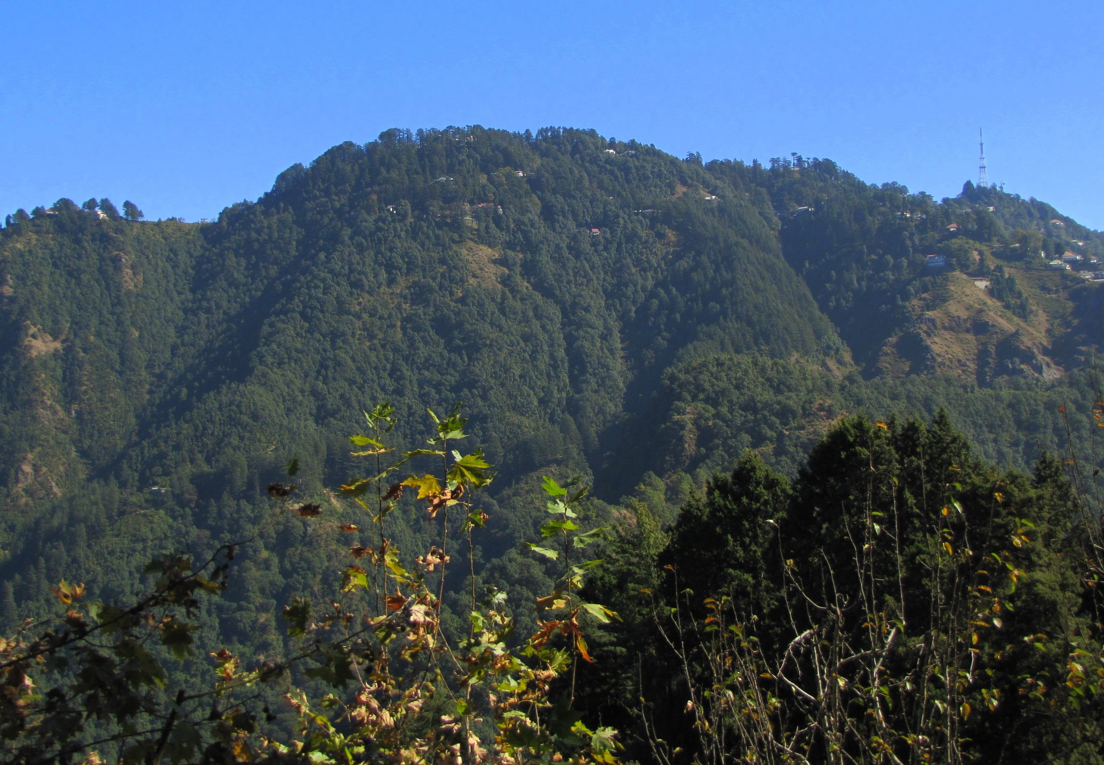 Lal Tibba