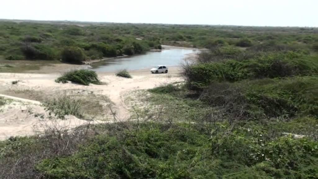 Kodikkarai Wildlife Sanctuary