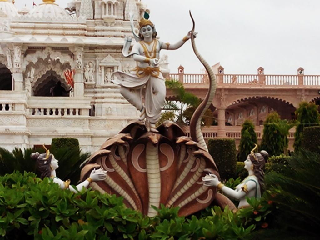 gokul
