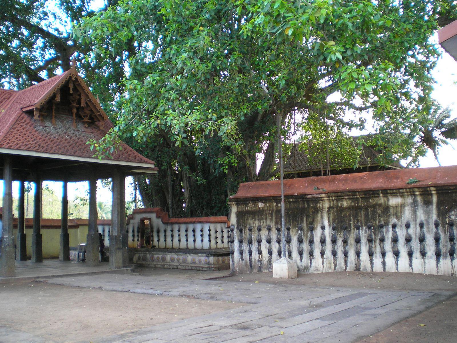 Varkala, Kerala, India