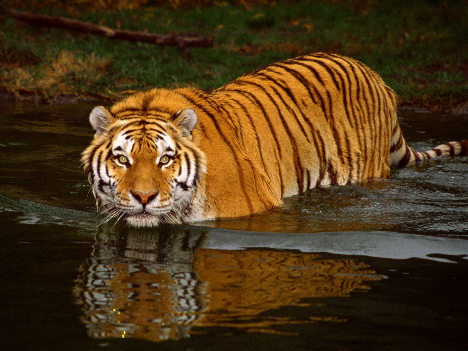 Panna, Madhya Pradesh, India