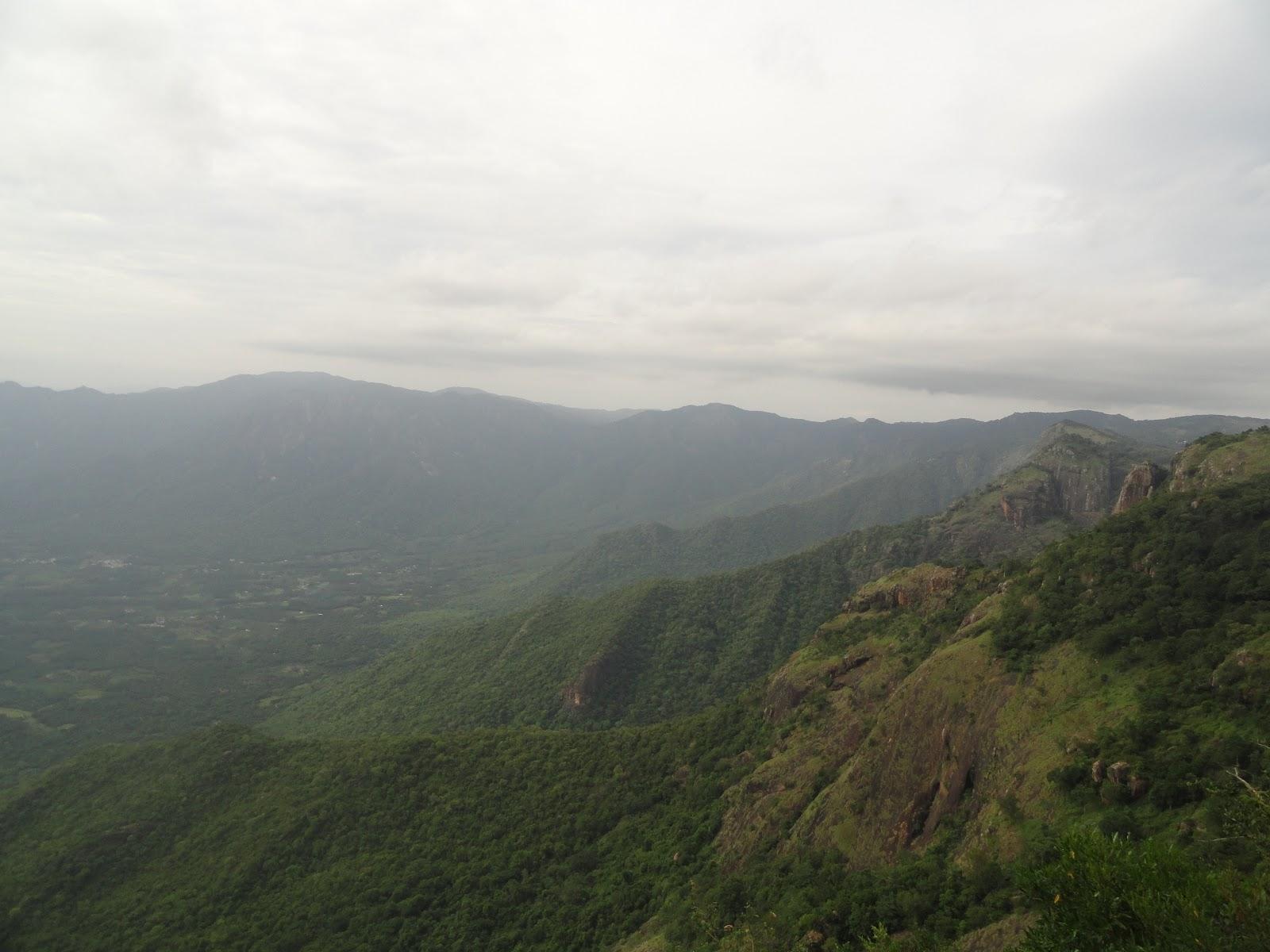 Selur Viewpoint