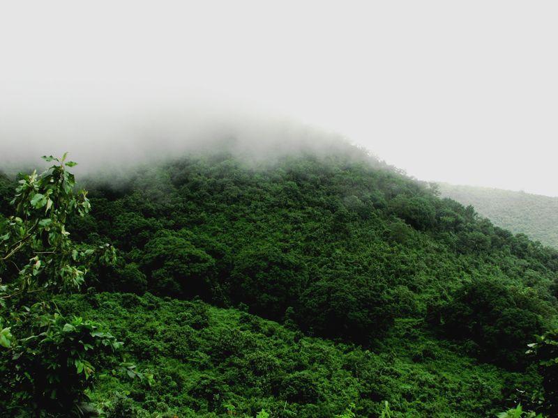 Daringibadi
