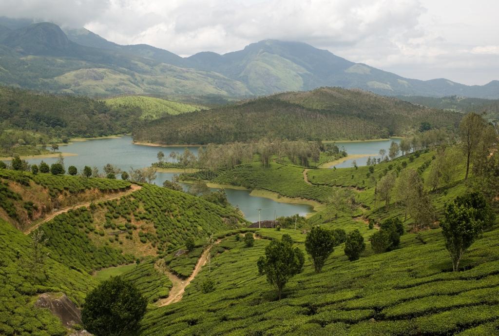 Yelagiri Hills