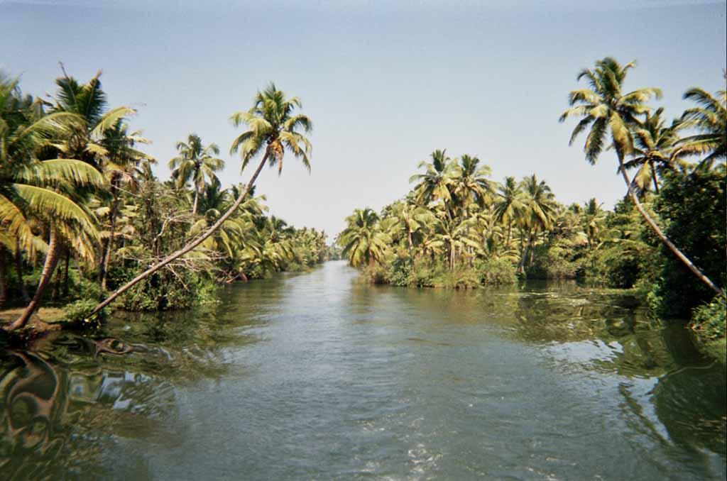 Ashtamudi Lake