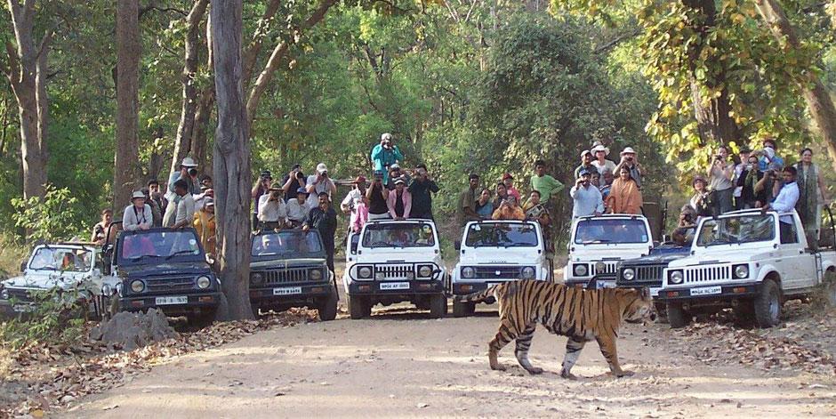 Kanha National Park