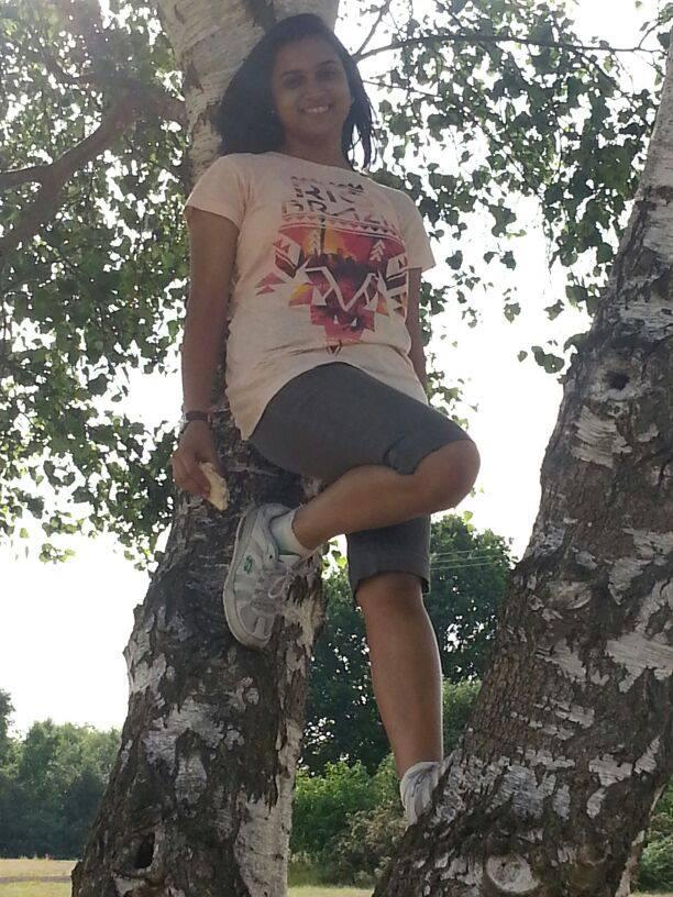 Sherwood Forest