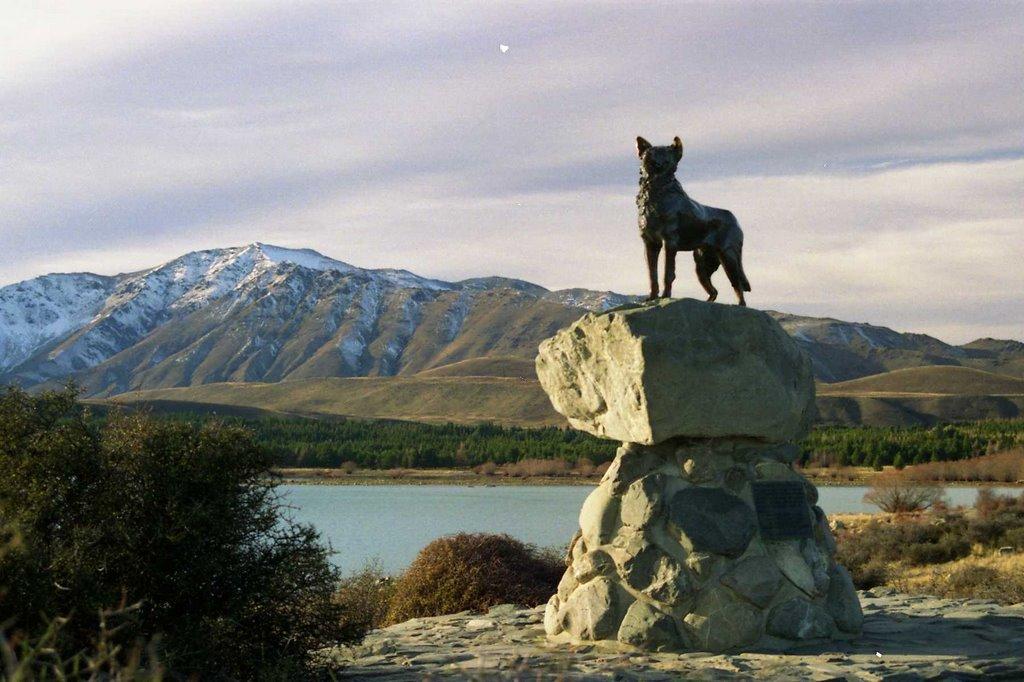 SheepDogStatueTwizel...