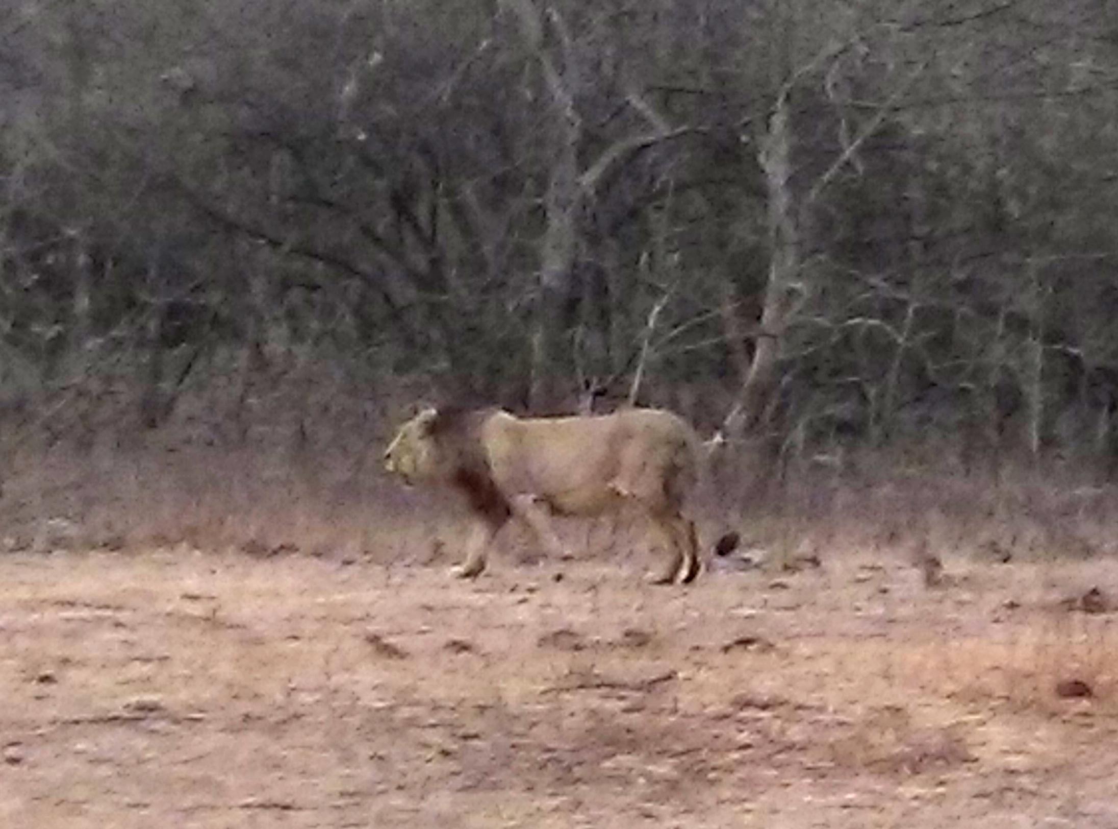Gir Somnath, Gujarat, India