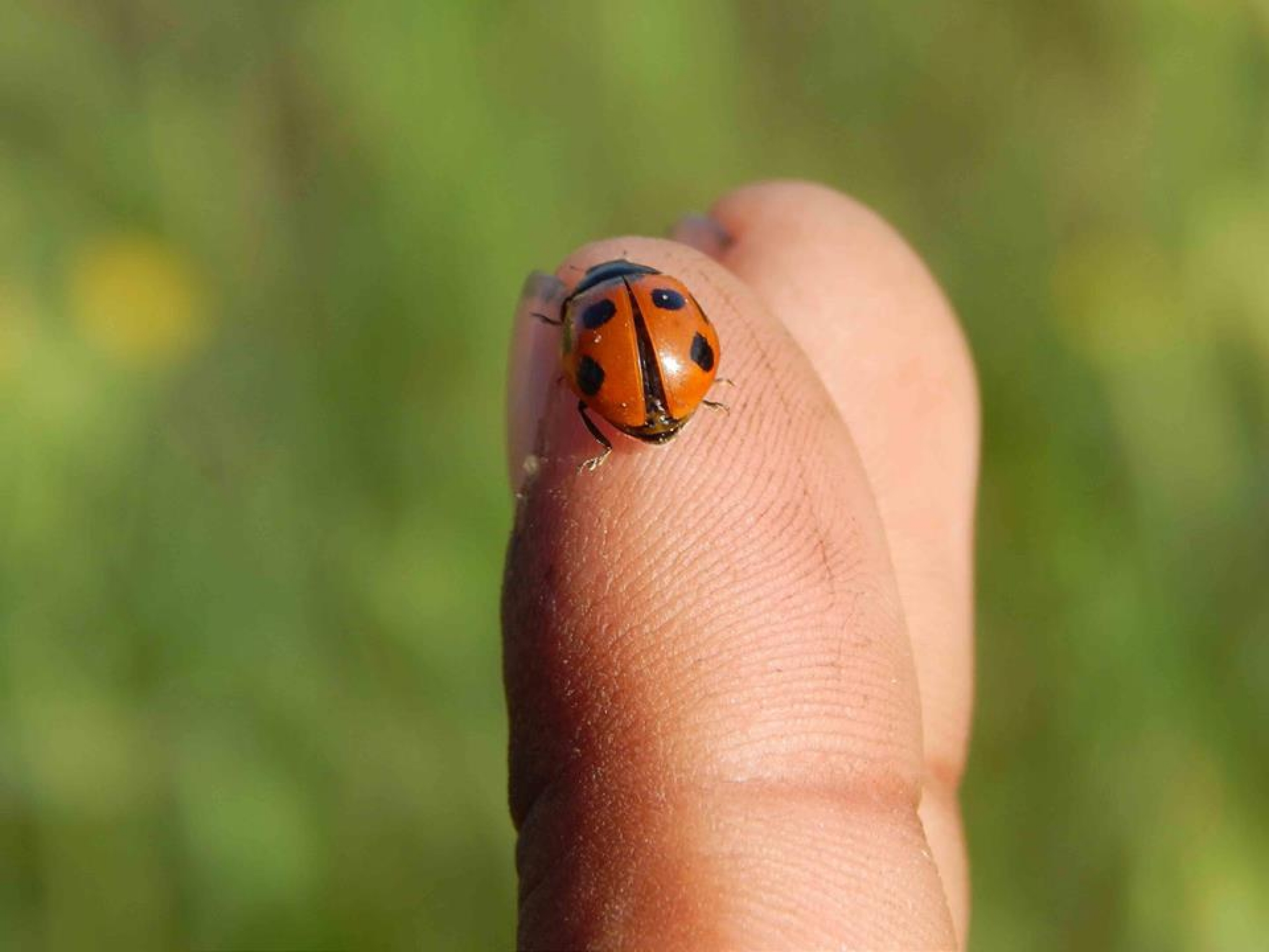 Uttarakhand, India