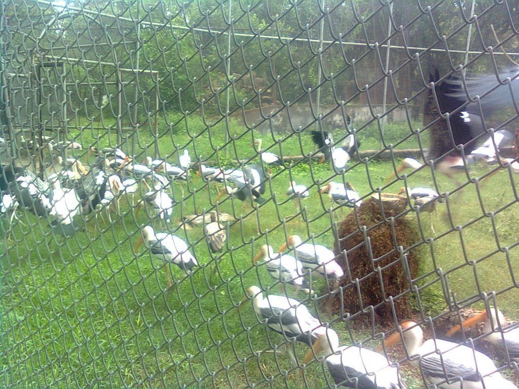 Mahendra Chaudhary Zoological Park