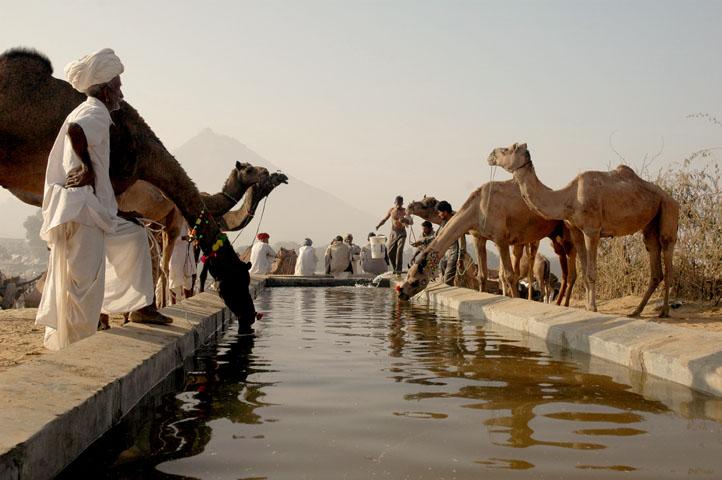 Sri Rama Vaikunth Temple (Pushkar)