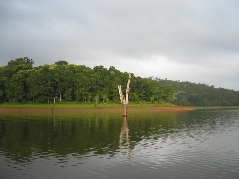Periyar Lake