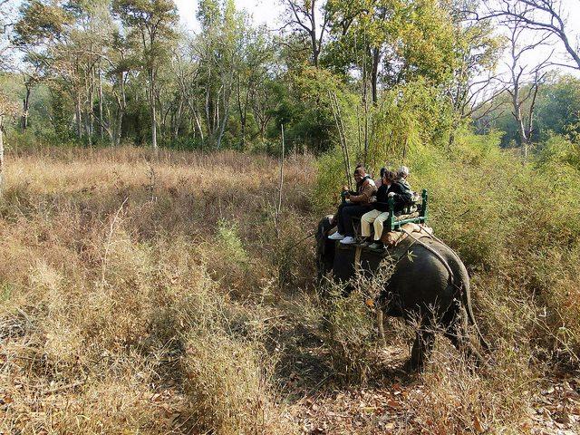 Kanha National Park