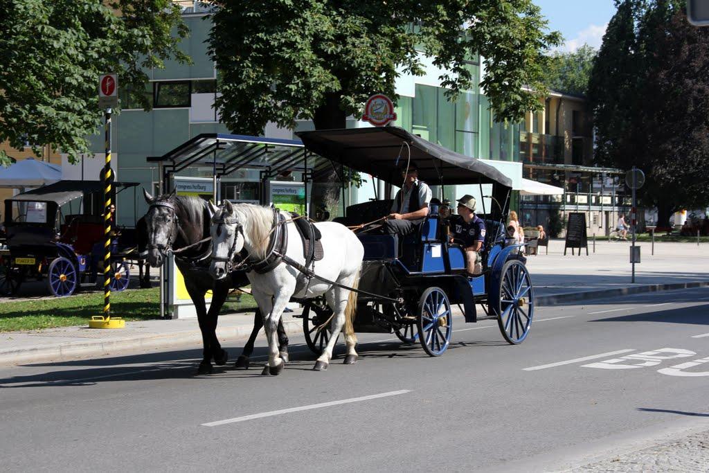 Hofgarten